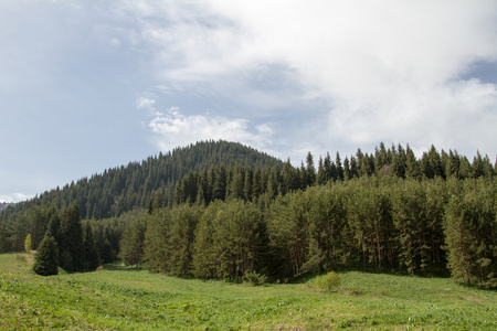 山风景