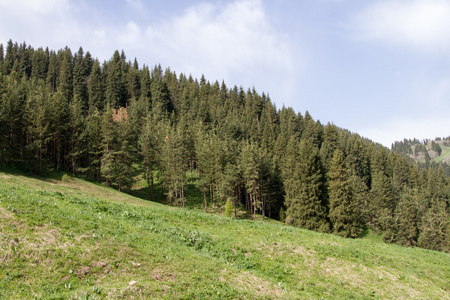 山风景