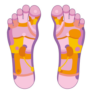 足底穴位图图片