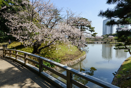 东京日本