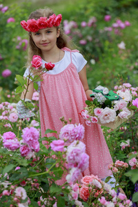 玫瑰花园玫瑰花园里玩的漂亮女孩