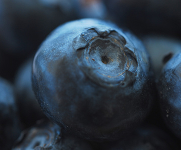在一个碗里成熟的蓝莓