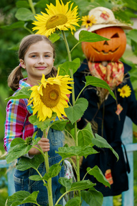 花园稻草人图片