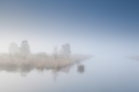 在浓雾中湖上树岛