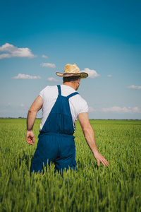 农夫在字段图片