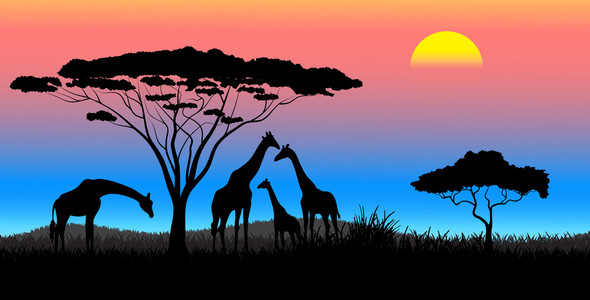 非洲热带稀树草原晚上景观
