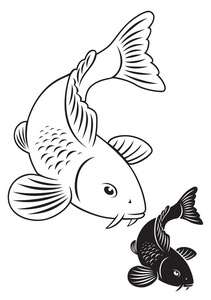三文鱼一条图片-三文鱼一条素材-三文鱼一条插画-摄图新视界