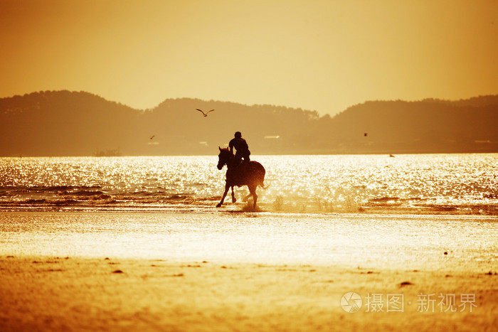 在日落海滩上骑马