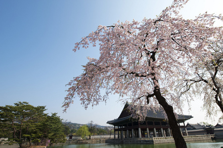 韩国景福宫