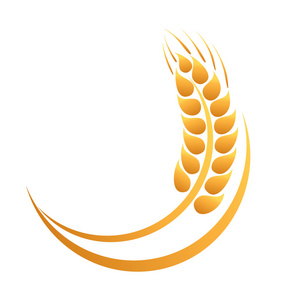小麦的耳朵图标图片