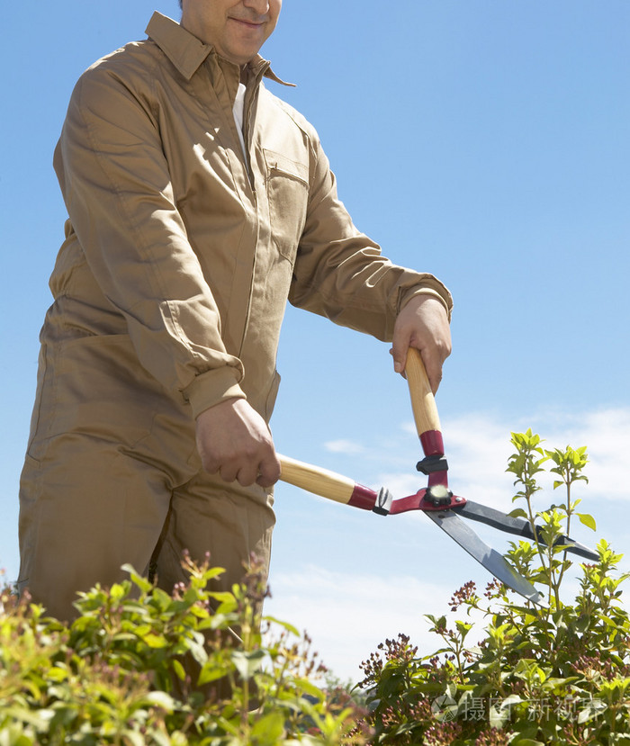 用剪刀剪布什的雄性园丁照片-正版商用图片1fuux1-摄图新视界