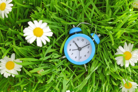 蓝色钟上绿草与鲜花背景图片