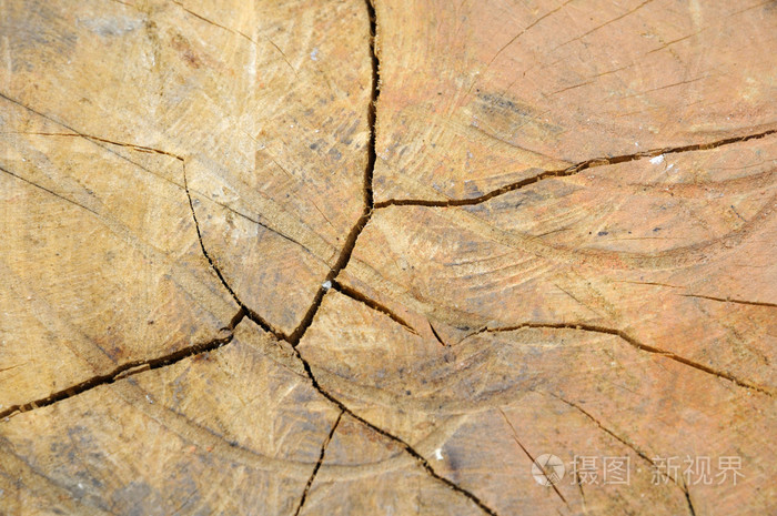 在木材中的裂缝