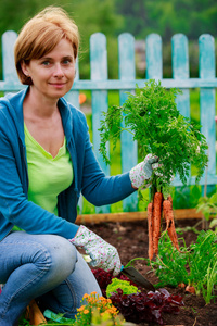 园艺栽培女人和有机的胡萝卜
