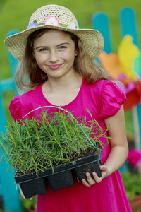 园艺 种植薰衣草幼苗的可爱女孩