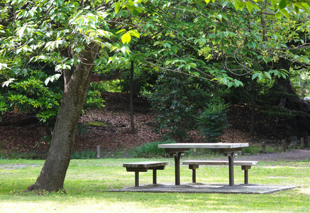 在公园的长凳上照片