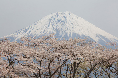 山富士在冬天