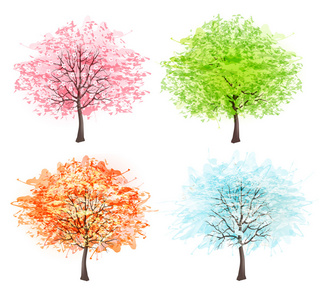 四个季节   春天，夏天，秋天，冬天。艺术树的美丽