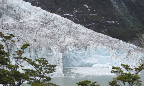 perito 莫雷诺冰川舌。阿根廷。南北美洲