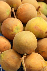 市场上 santol 水果