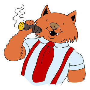 肥猫瘦猫图片大全