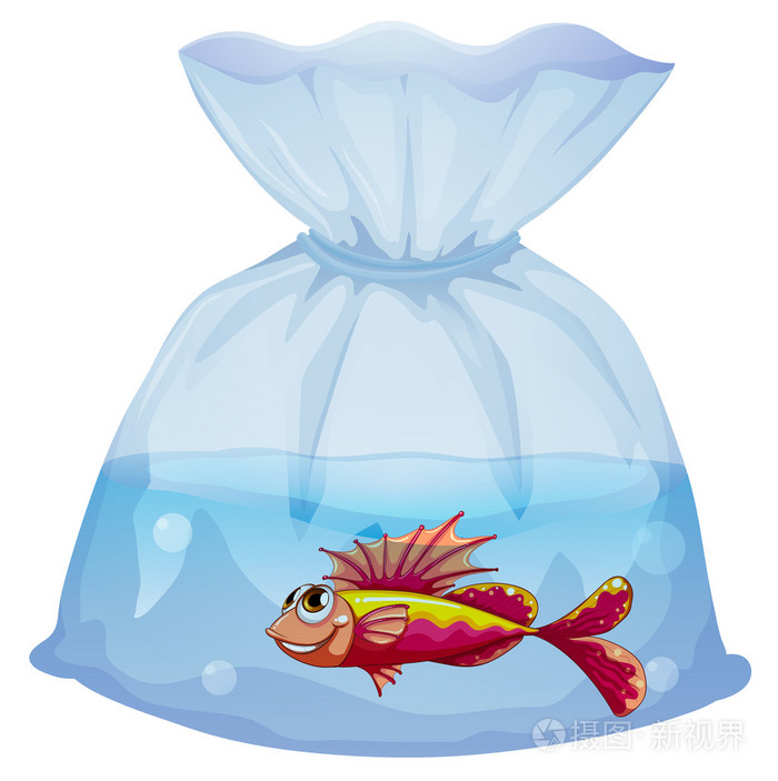 与一条鱼的塑料袋