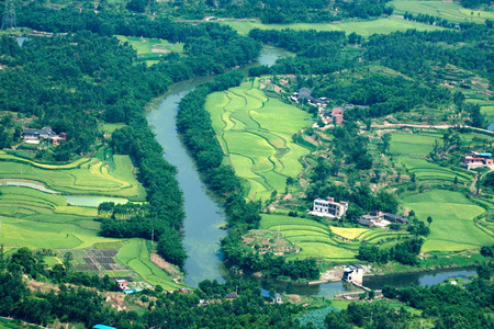 根据重庆永川茶山竹村