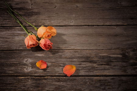 凋谢的玫瑰和花瓣生活背景和凋谢的玫瑰花瓣凋谢的玫瑰美丽的黑发女人