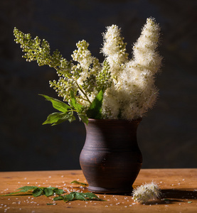 美丽的白色鲜花静物