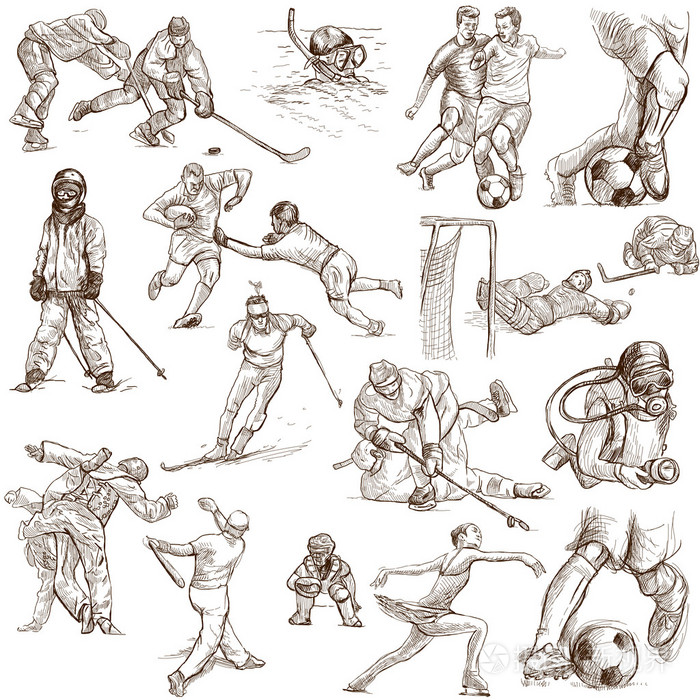 体育-手绘插图的集合
