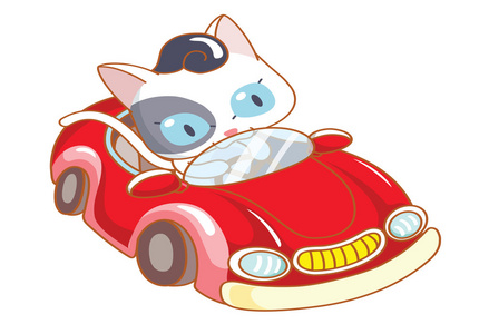可爱的卡通猫骑一辆红色汽车图片