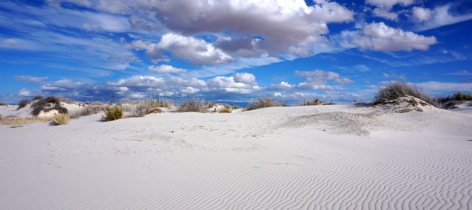 白色的沙滩新墨西哥