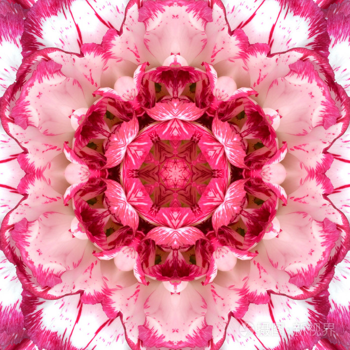 同心紫花曼陀罗千变万化设计中心