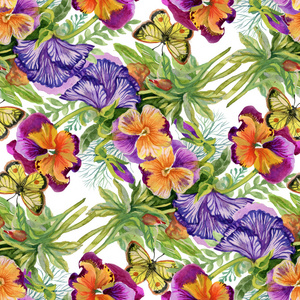 三色紫罗兰蝴蝶图片