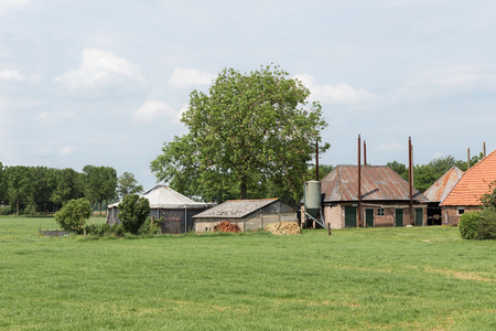 荷兰的乡村景观，老农舍