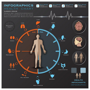 生物钟健康和医疗信息图表 Infocharts