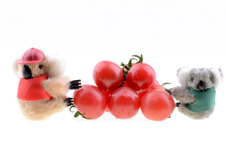 玩具考拉收集樱桃番茄