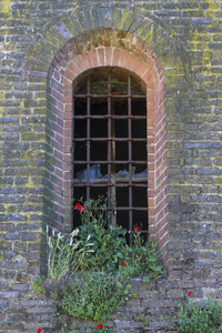 老城堡的窗口