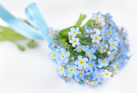 秀水 躬 缎面 花卉 花瓣 植物园 多年生草本