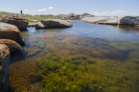bingi bingi 只要附近的岩石泳池。morua 附近的做。新南威尔士州。澳大利亚