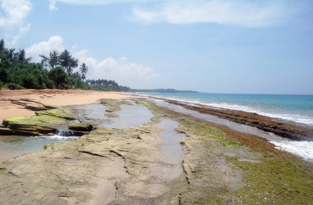 在斯里兰卡海岸野生海滩
