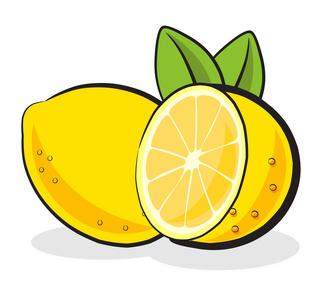 柠檬水果矢量图