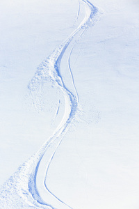 自由式滑雪 雪跟踪上粉雪