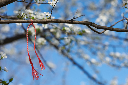 martenitsa 保加利亚传统