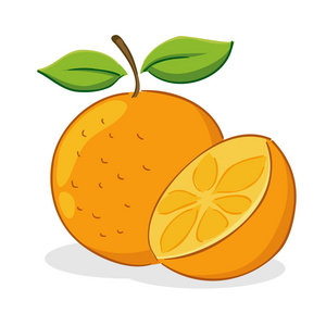 橙色水果图