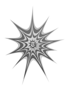 蜘蛛 web 艺术插图