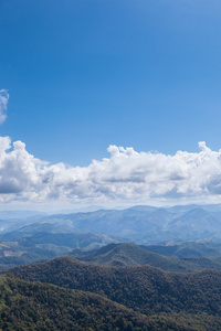 山 森林与天空