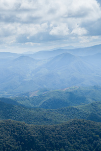 山 森林与天空