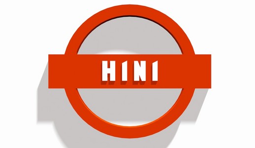 甲型 h1n1 流感