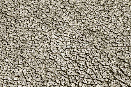 冰岛地热区的干燥地面